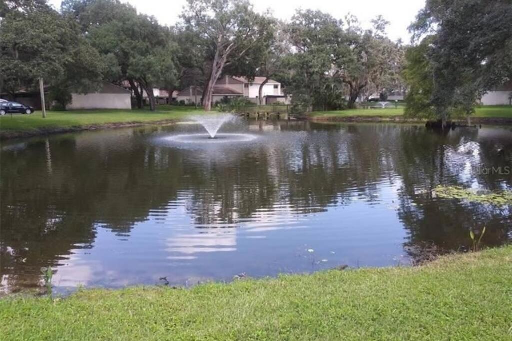 Cozy 3 Bed 2.5 Bath Located Near Busch Gardens Tampa Exterior photo